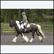 durdress22_0558