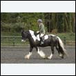 durdress22_0560