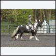 durdress22_0561