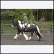 durdress22_0563