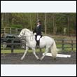 durdress22_0566