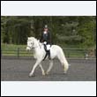durdress22_0568
