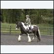 durdress22_0570