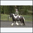 durdress22_0571