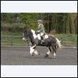 durdress22_0572