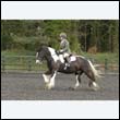 durdress22_0573