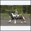 durdress22_0574