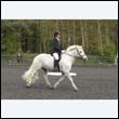 durdress22_0576