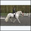 durdress22_0577