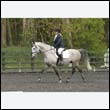 durdress22_0578