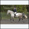 durdress22_0580