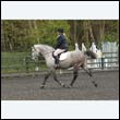 durdress22_0585