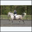 durdress22_0593