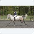 durdress22_0594