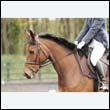 durdress22_0612
