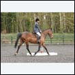 durdress22_0613