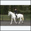 durdress22_0620