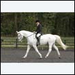 durdress22_0621
