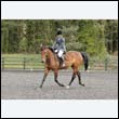 durdress22_0623
