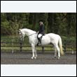 durdress22_0629