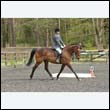 durdress22_0630