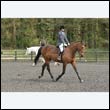 durdress22_0631