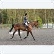 durdress22_0632