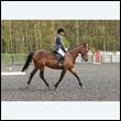 durdress22_0633