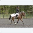 durdress22_0636