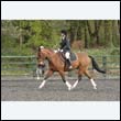 durdress22_0638