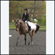 durdress22_0641