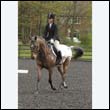 durdress22_0642