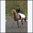 durdress22_0643
