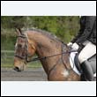 durdress22_0644