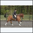 durdress22_0646