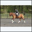 durdress22_0648