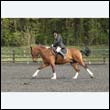 durdress22_0649