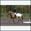durdress22_0651
