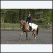 durdress22_0652