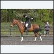 durdress22_0653