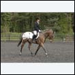 durdress22_0656