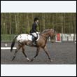 durdress22_0657