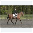 durdress22_0658