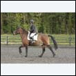 durdress22_0660
