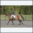 durdress22_0661