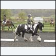 durdress22_0662