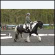 durdress22_0664