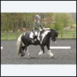 durdress22_0667