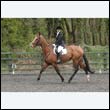 durdress22_0670