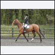 durdress22_0671